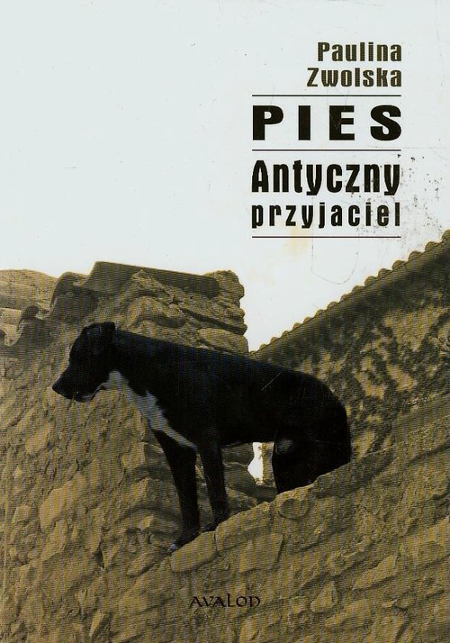 Image of Pies Antyczny przyjaciel