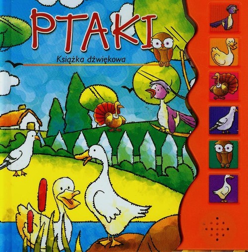 Image of Ptaki Książka dźwiękowa