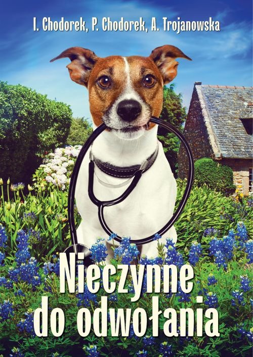 Image of Nieczynne do odwołania