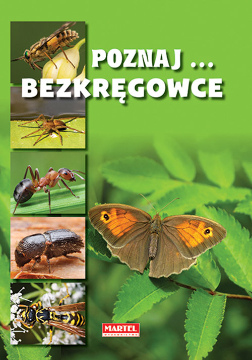 Image of Poznaj bezkręgowce