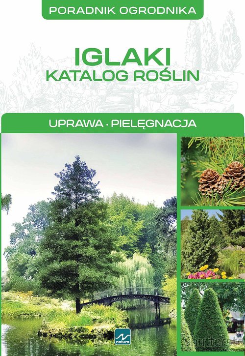 Image of Iglaki Katalog roślin
