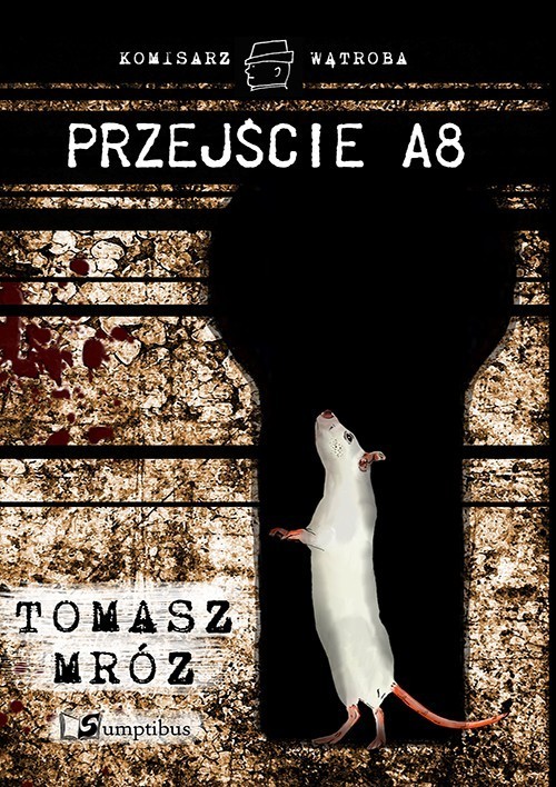 Image of Przejście A8