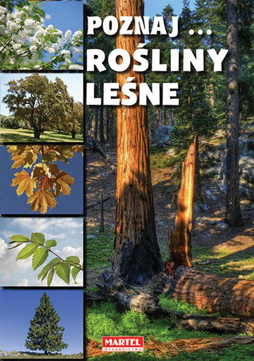 Image of Poznaj Rośliny leśne