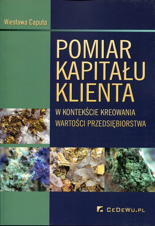 Image of Pomiar kapitału klienta w kontekście kreowania wartości przedsiębiorstwa