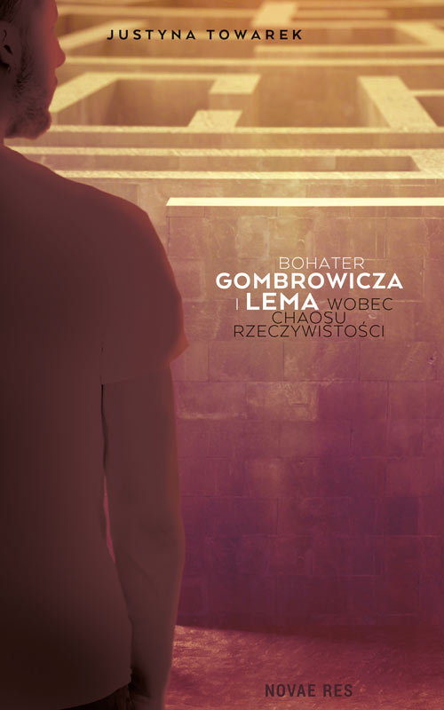 Image of Bohater Gombrowicza i Lema wobec chaosu rzeczywistości