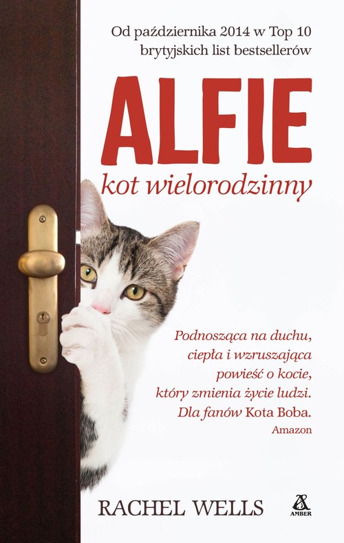 Image of Alfie, kot wielorodzinny