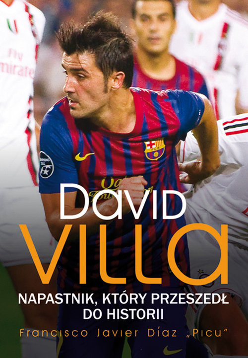 Image of David Villa Napastnik który przeszedł do historii