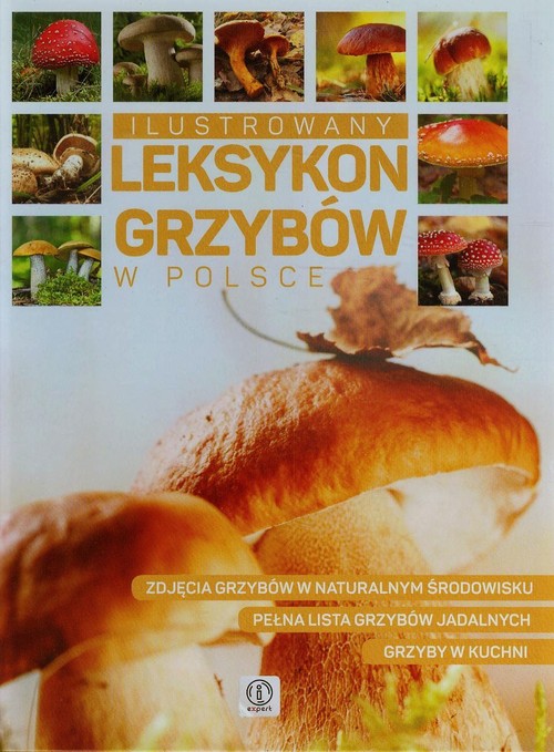 Image of Ilustrowany leksykon grzybów w Polsce