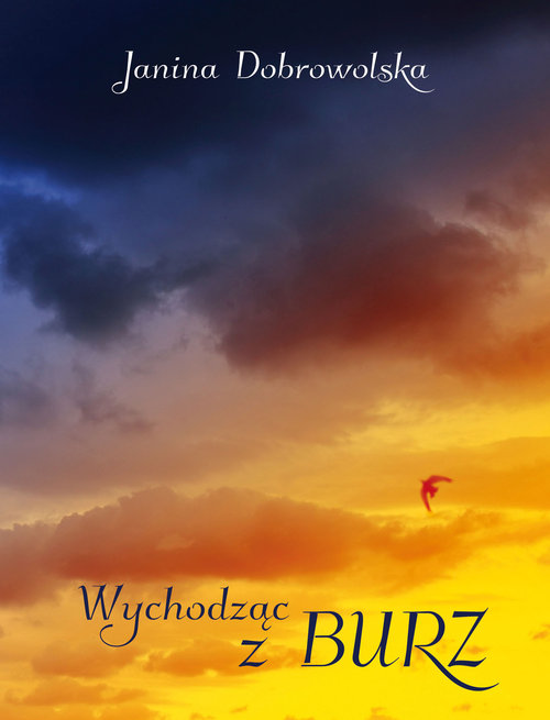 Image of Wychodząc z burz