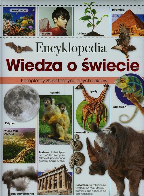 Image of Encyklopedia Wiedza o świecie