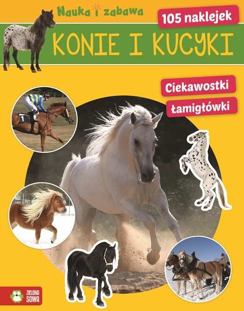 Image of Konie i kucyki Nauka i zabawa