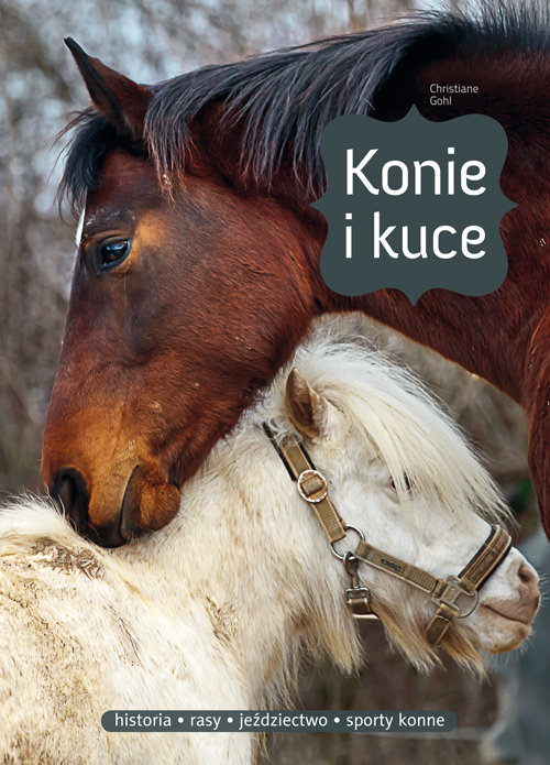 Image of Konie i kuce