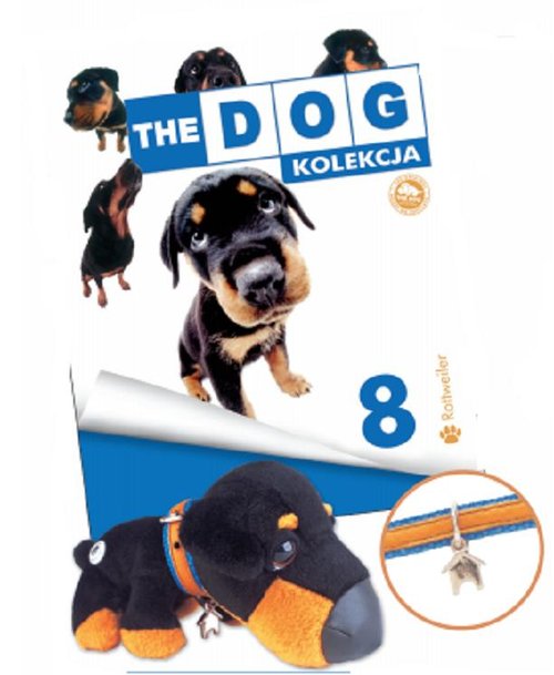 Image of Rottweiler