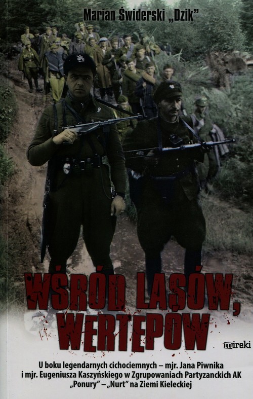 Image of Wśród lasów i wertepów