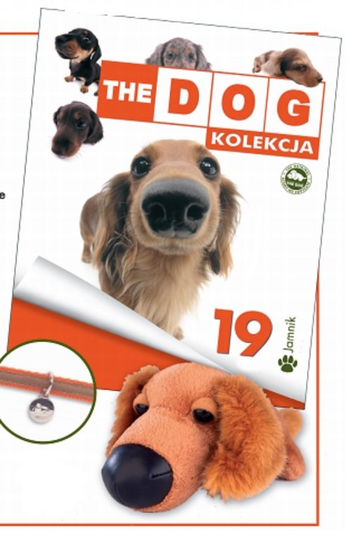 Image of The dog Jamnik 19