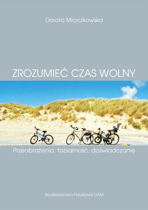 Image of Zrozumieć czas wolny. Przeobrażenia, tożsamość, doświadczanie