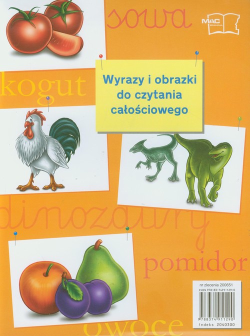 Image of Wyrazy i obrazki do czytania całościowego