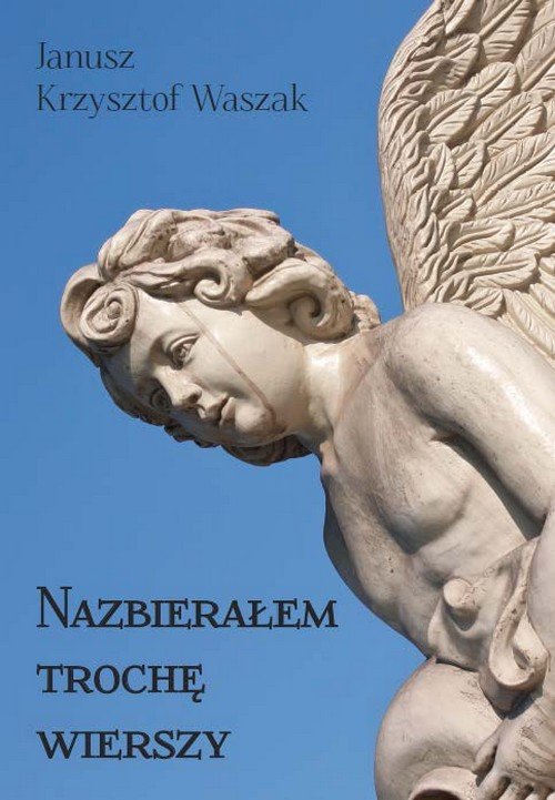 Image of Nazbierałem trochę wierszy