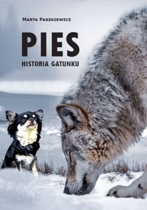 Image of Pies Historia gatunku