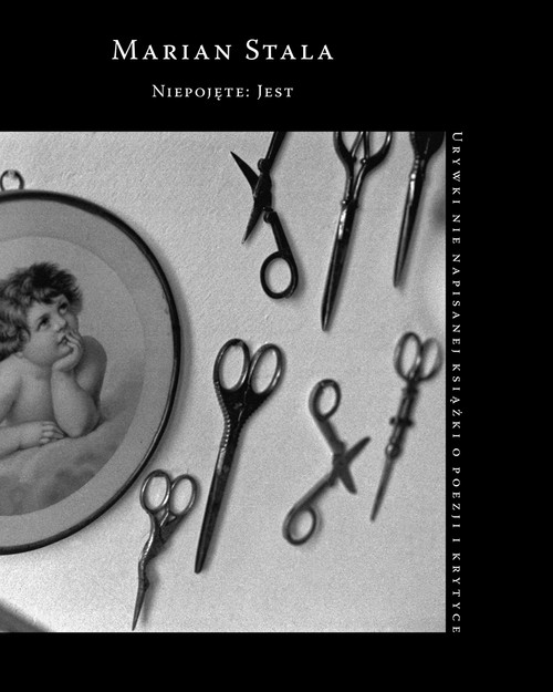 Image of Niepojęte: Jest Urywki nie napisanej książki o poezji i krytyce