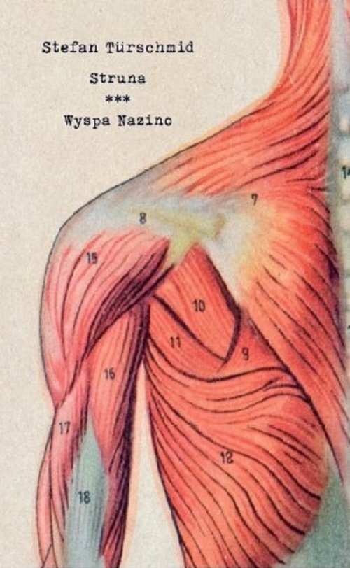 Image of Struna Wyspa Nazino