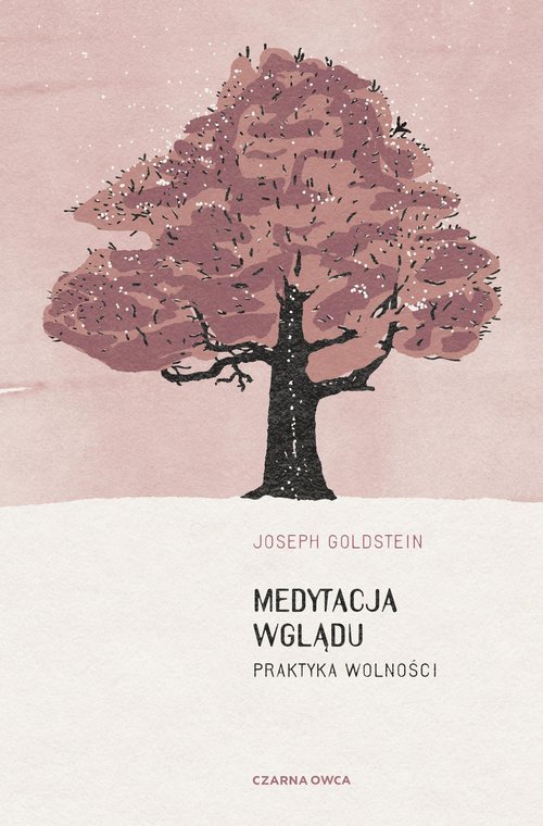 Image of Medytacja wglądu Praktyka wolności