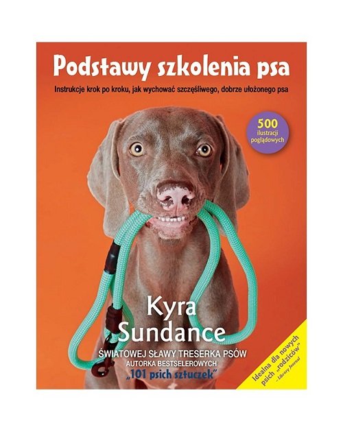 Image of Podstawy szkolenia psa. Instrukcje krok po kroku, jak wychować szczęśliwego, dobrze ułożonego psa