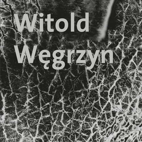 Image of Witold Węgrzyn Nieuchwytna materialność