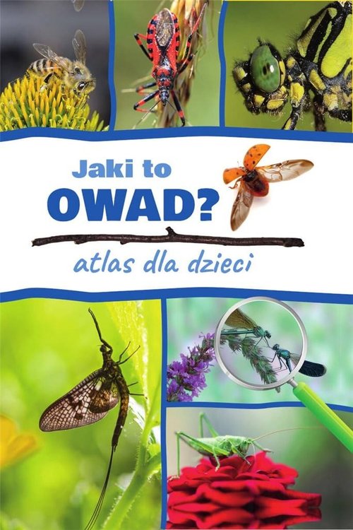 Image of Jaki to owad? Atlas dla dzieci