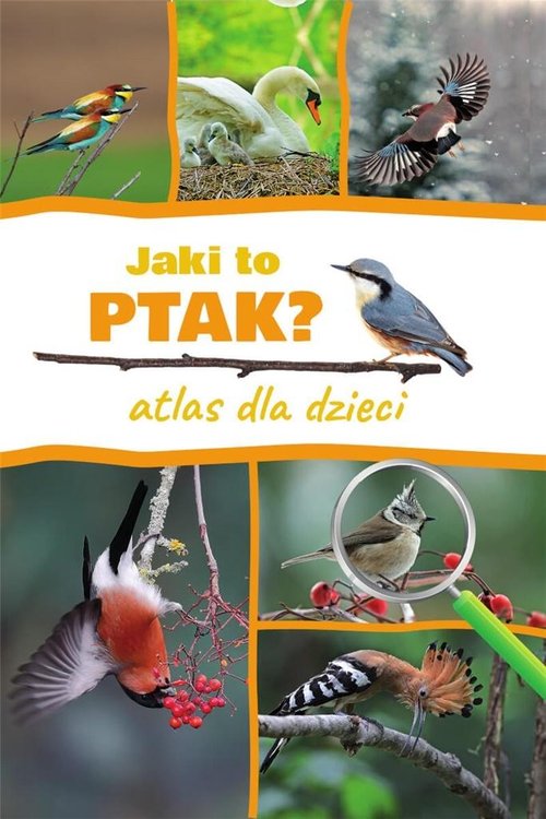 Image of Jaki to ptak? Atlas dla dzieci