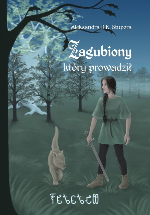 Image of Zagubiony który prowadził