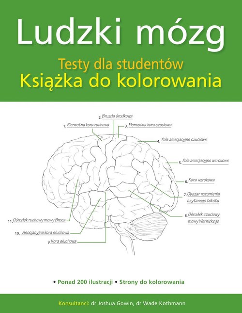 Image of Ludzki mózg Testy dla studentów Książka do kolorowania