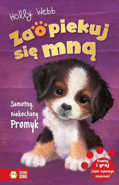 Image of Zaopiekuj się mną Samotny niekochany Promyk