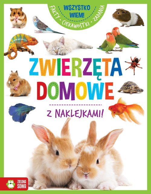 Image of Wszystko wiem! Zwierzęta domowe