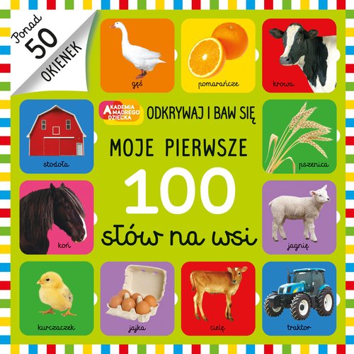 Image of Moje pierwsze 100 słów na wsi