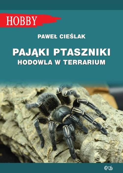 Image of Pająki ptaszniki. Hodowla w terrarium