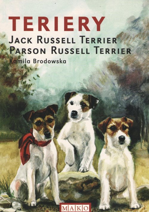 Image of Terriery Jack Russell Terrier Parson Russell Terrier