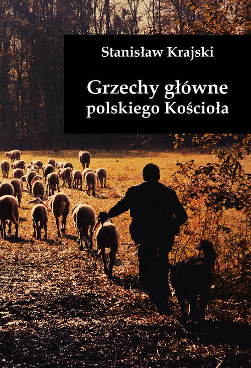 Image of Grzechy główne polskiego Kościoła