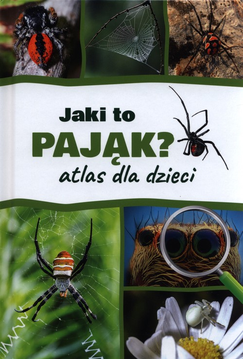 Image of Jaki to pająk? Atlas dla dzieci