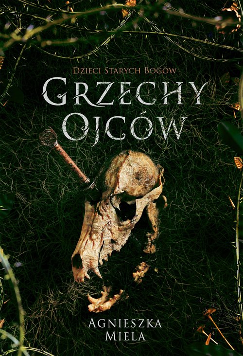 Image of Grzechy ojców