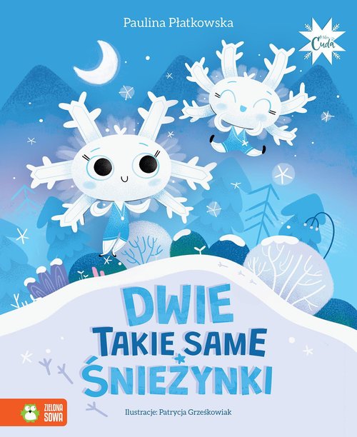 Image of Dwie takie same śnieżynki