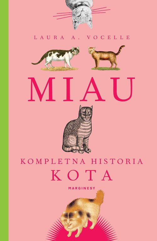 Image of Miau Kompletna historia kota