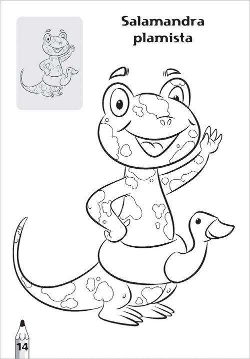 Image of Tatrzańskie zwierzaki kolorowanka 2 sztuki