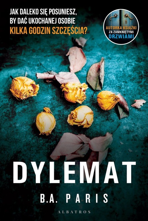 Image of Dylemat