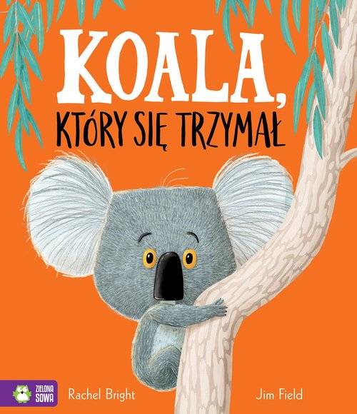 Image of Koala, który się trzymał
