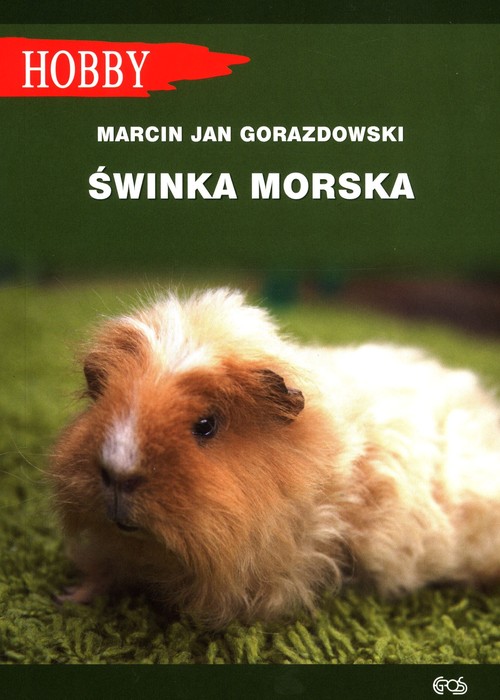 Image of Świnka morska
