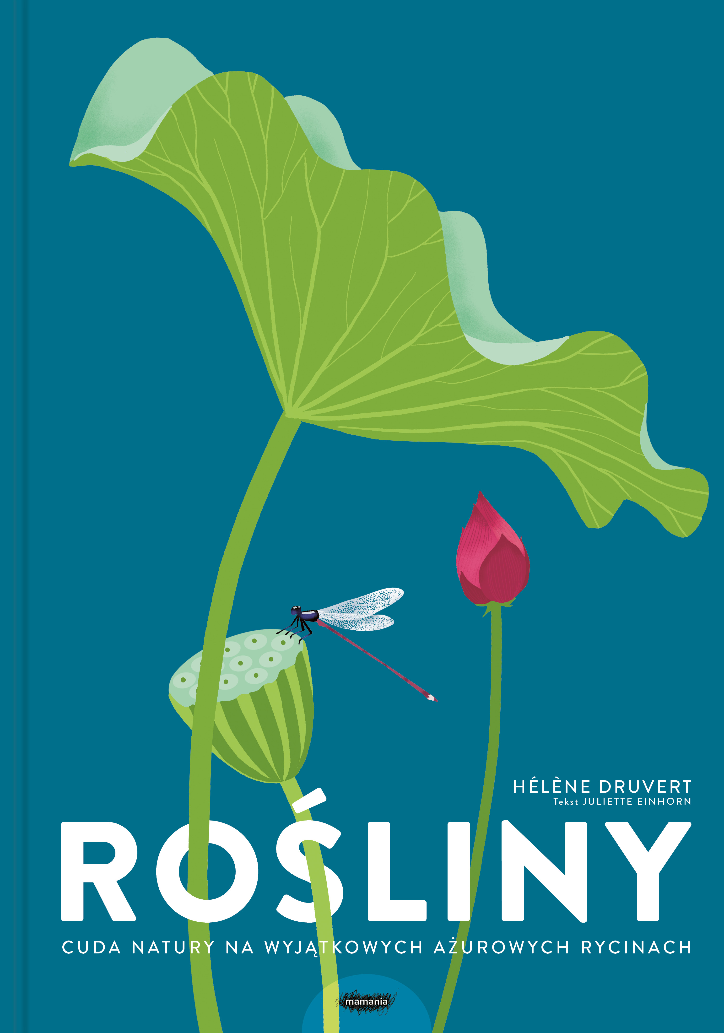 Image of Rośliny. Cuda natury na wyjątkowych ażurowych rycinach