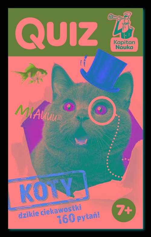 Image of Quiz Koty