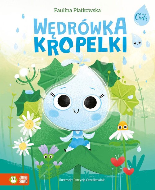 Image of Mikrocuda Wędrówka kropelki