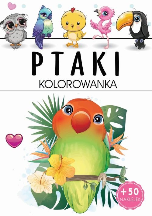 Image of Ptaki Kolorowanka